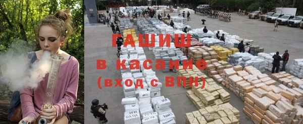 крисы Аркадак