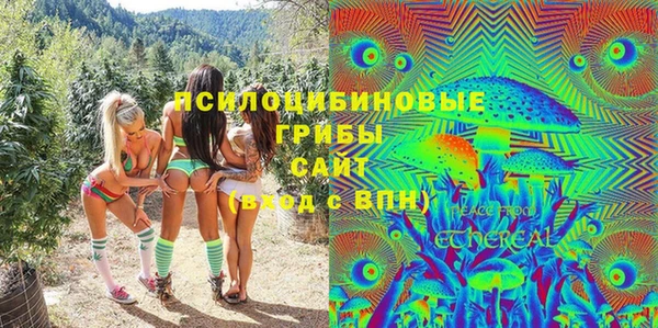 крисы Аркадак