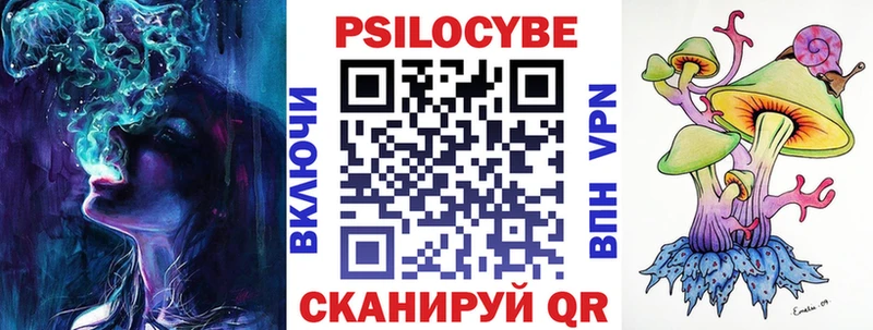 сколько стоит  Северо-Курильск  Псилоцибиновые грибы Psilocybe 